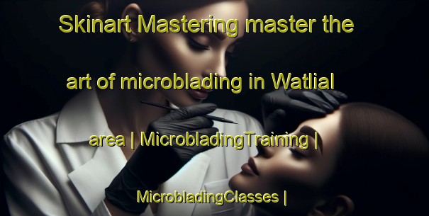 Skinart Mastering master the art of microblading in Watlial area | MicrobladingTraining | MicrobladingClasses | SkinartTraining-Pakistan